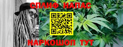 прущие грибы Краснокаменск