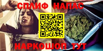 прущие грибы Краснокаменск